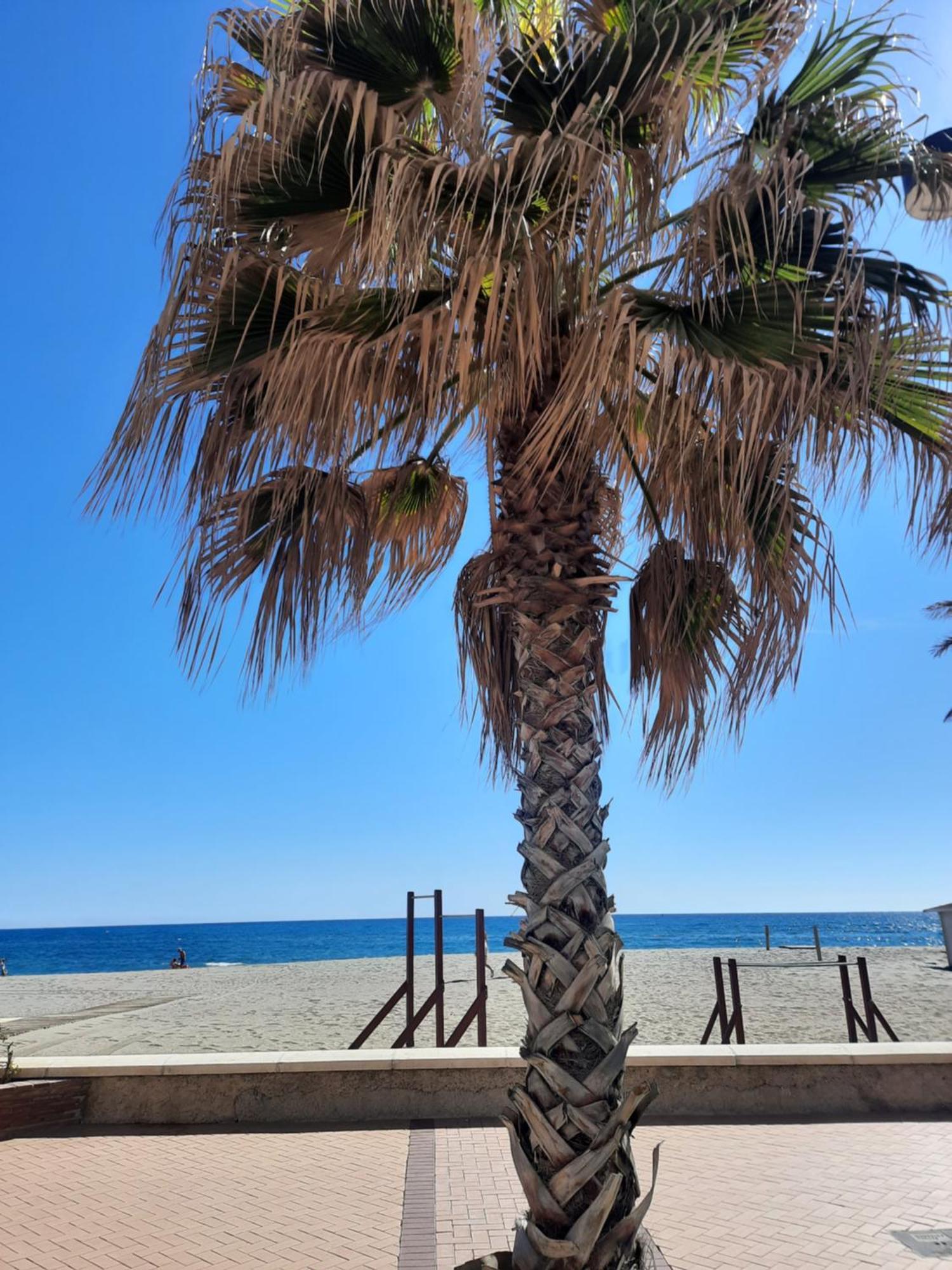 Fuengirola Apartment Carvajal Front Line Primera Linea Kültér fotó